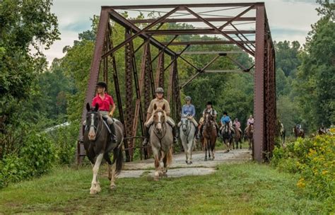 Equestrian Destination The Carolina Foothills Tryon Columbus Saluda