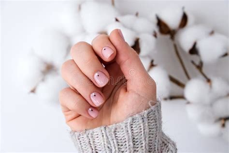 Woman Hands With Beautiful Nude Manicure Holding Delicate White Cotton