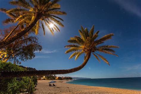 Palm Trees Under A Full Moon At Night Sunset Beach North