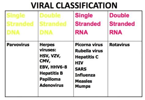 Herpes Simplex Versus Herpes Zoster What Is The Difference And What Is