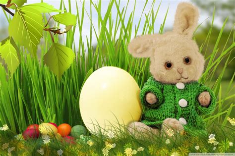 Cute Easter Bunny Wallpaper 58 Images