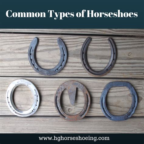 Common Types Of Horseshoes Horseshoe Clydesdale Common
