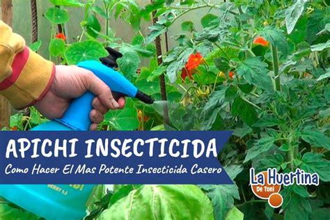 Como Preparar Insecticida Casero Apichi Eficacia Total