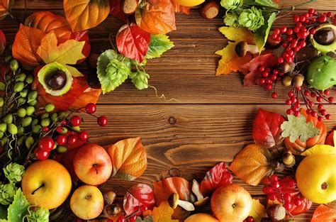 Autumn Fruit Wallpapers Top Free Autumn Fruit Backgrounds