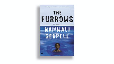 Review The Furrows By Namwali Serpell The New York Times
