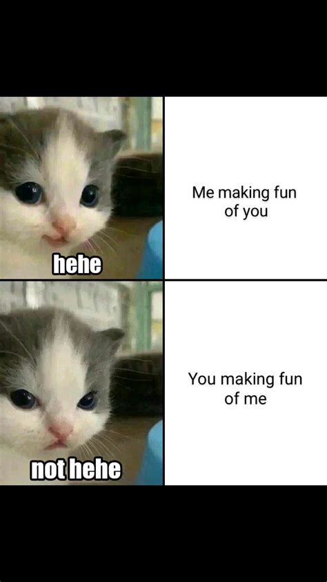 First Meme Guyss Rwholesomememes Hehe Cat Know Your Meme