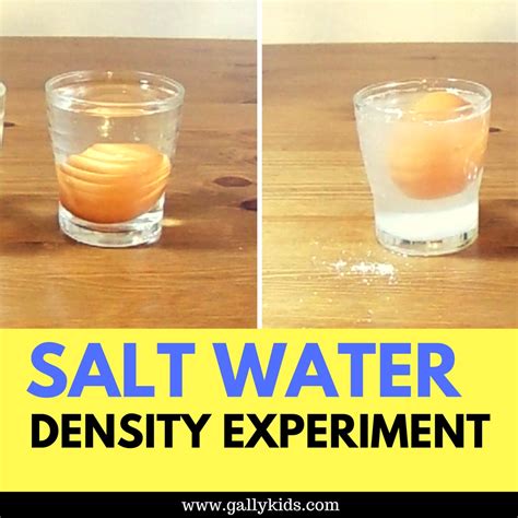 Density Experiment With Water Watch The Floating Egg