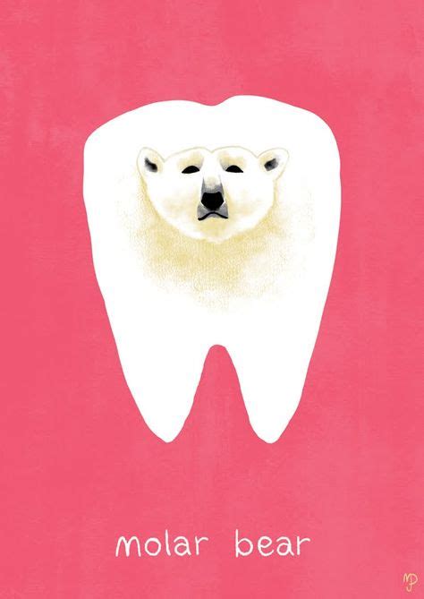 Molar Bear With Images Bear Dental Humor Molars
