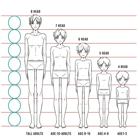 Using Head To Body Ratio To Adjust A Characters Height And Age Part Anime Art Magazine