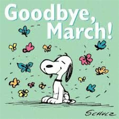 Download High Quality March Clipart Snoopy Transparent Png Images Art