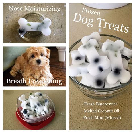 Homemade Coconut Oil Dog Treats Recipes For Dry Skin And Bad Breath