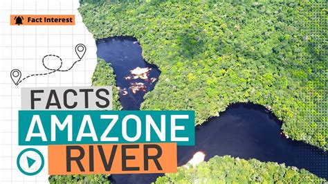 5 Interesting Fact About The Amazon River Youtube