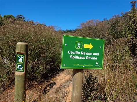 However the boardwalk portion of the trail could become quite slippery after heavy rain. Western Cape Hiking: Cecilia Forest - Rhodes Memorial