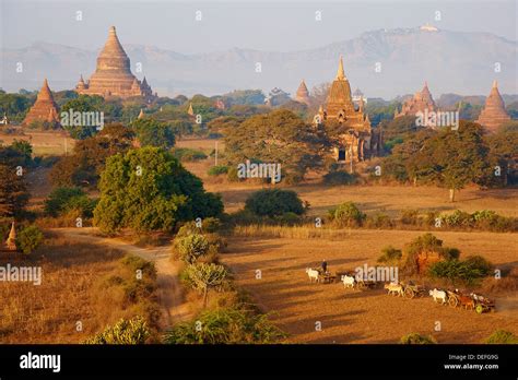 Bagan Pagan Myanmar Burma Asia Stock Photo Alamy