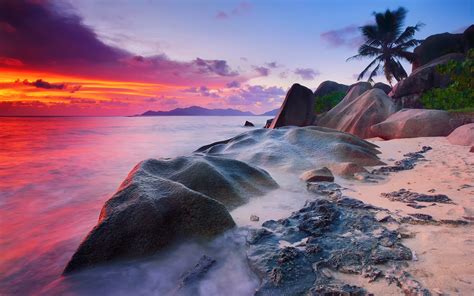 Seychelles La Digue Island Indian Ocean Sea Stones Palm Trees