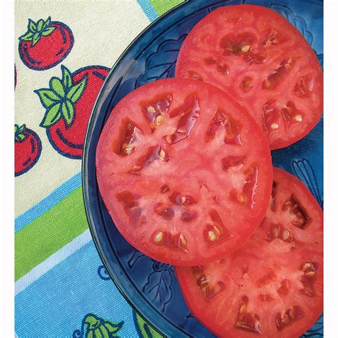 Bonnie Plants 193 Oz Tomato Beefsteak Red Heirloom 0216 The Home Depot