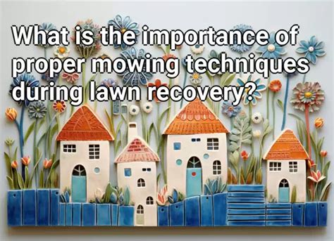 What Is The Importance Of Proper Mowing Techniques During Lawn Recovery