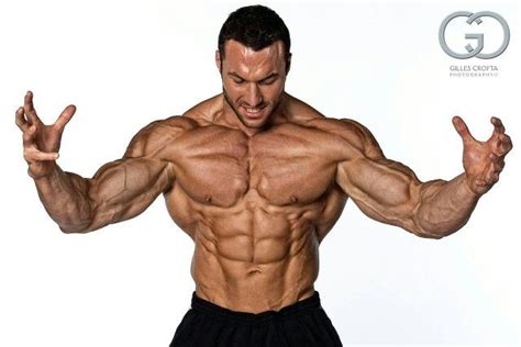 The Art Of Bodybuilding Body Anatomy Male Torso Bodybuilding