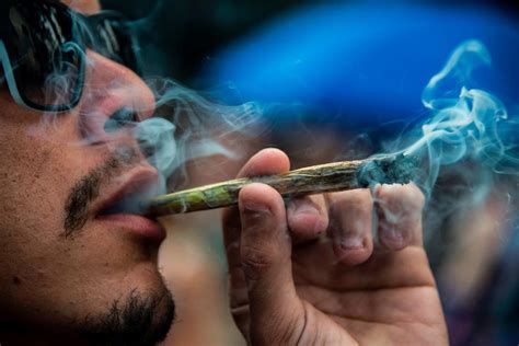 Factors Explaining Why Cannabis Affects Everyone Differently