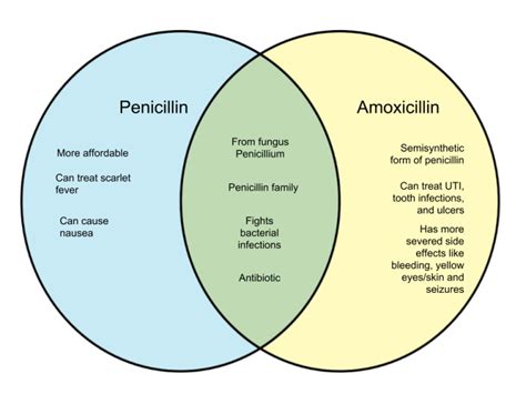 Difference Between Penicillin And Amoxicillin Whyunlikecom