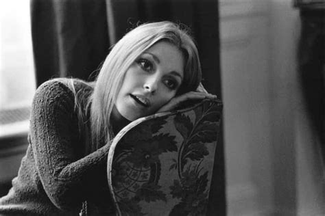 Sultry Facts About Sharon Tate The Tragic Vixen