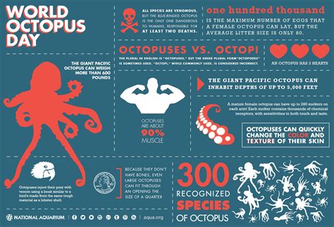 Happy World Octopus Day Animal Infographic Infographic Marine Biology