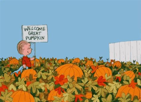 A Charlie Brown Cartoon Holding A Welcome Great Pumpkin Sign In A Field