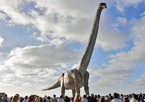 Scientists Finally Give The Biggest Dinosaur That Ever Lived A Name