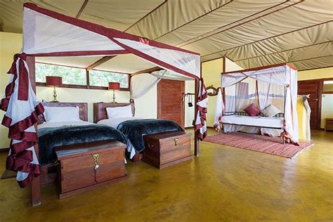 Luxury Zambia Safari Lodge Sausage Tree Camp Lower Zambezi