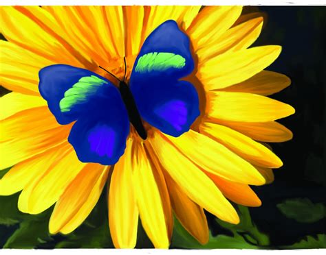 Julias Creative Imaging Artwork Butterfly On A Flower Painting
