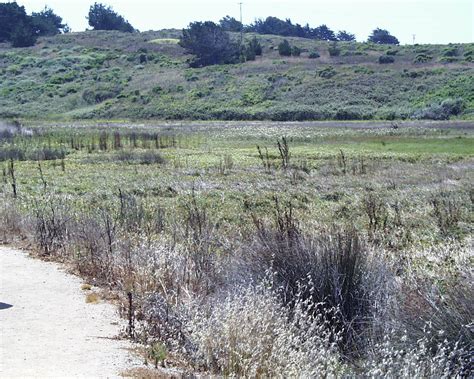 We did not find results for: San Simeon State Park