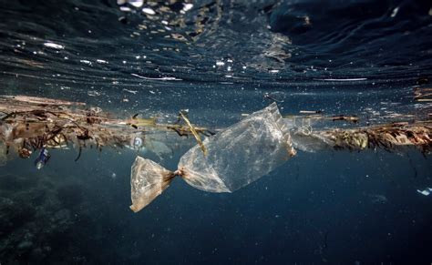 Qué pasa con el plástico en el mar La invasión del ser humano