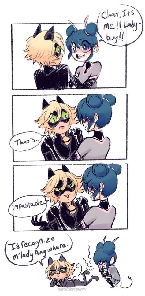 Download the best of funny cat noir memes. #MeatballHead | Miraculous Ladybug | Miraculous ladybug ...