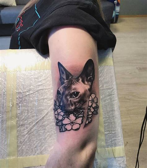 Sphinx Tattoo Sphynx Cat Tattoo Theme Tattoo Cat Theme Tattoo You