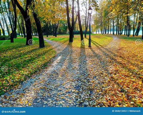 The Alley In The Autumn Park Covered With Fallen Leaves Is Divided