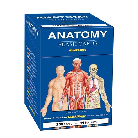 Barcharts Inc Quickstudy® Anatomy Flashcard And Reference Set