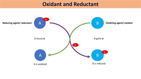 1 Oxidation Reduction Oxidant Oxidizer Oxidizing Agent Reductant