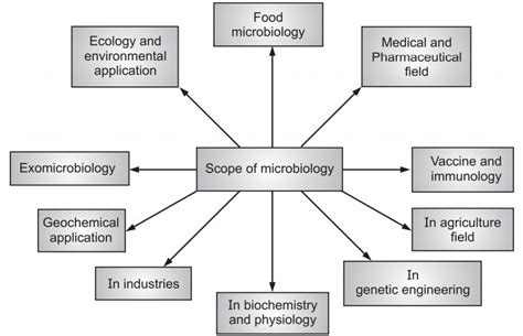 Microbiology Solution Parmacy