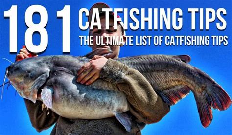 Catfishing Tips The Ultimate List Of Catfishing Tips Catfish Fishing