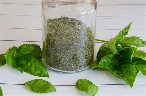 Dried Basil - Homestead Hustle