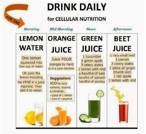 Health Benefits And Optimal Cellular Nutrition With Fruit Juices