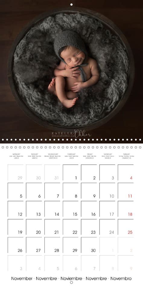 Calendrier photo bébés 365 jours de douceur par l APSNN Estelle