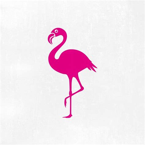 Flamingo Svg Flamingo Clipart Zoo Svg Animal Svg Beach Etsy