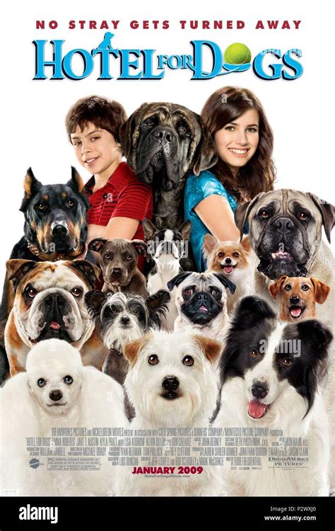 Original Film Title Hotel For Dogs English Title Hotel For Dogs