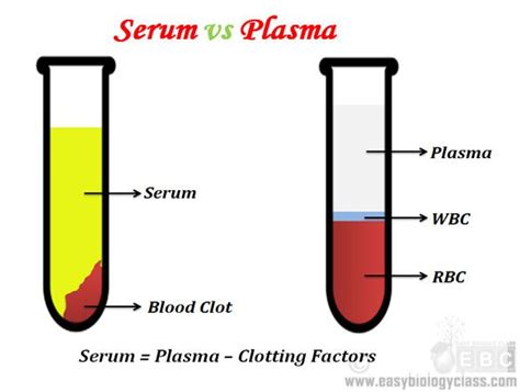 What Is Plasma In Blood