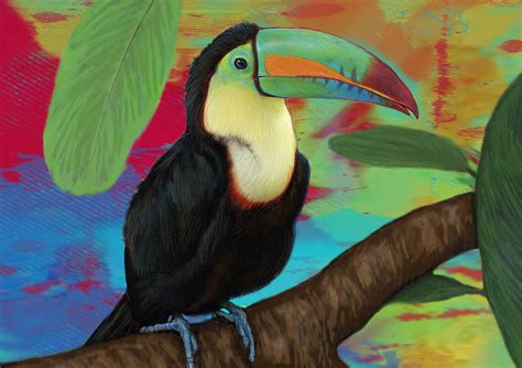 Rainforest Bird - Keel Billed Toucan Stylised Pop Art ... Using some curved lines, draw the mouth and eyebrows completing.