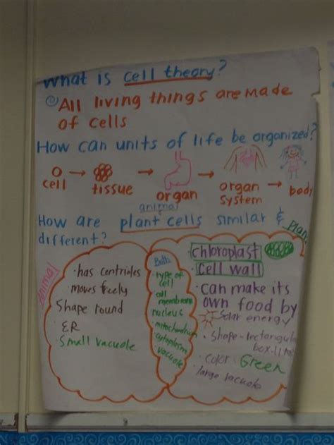 Private Site Science Anchor Charts Anchor Charts Science Cells