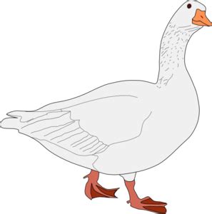 Goose Bird Clip Art At Clker Com Vector Clip Art Online Royalty Free Public Domain