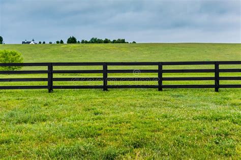 32831 Horse Fence Photos Free And Royalty Free Stock