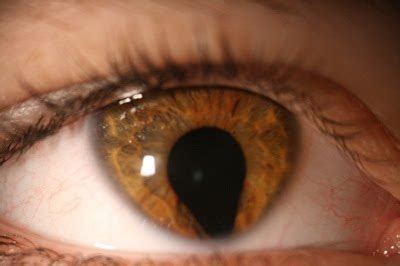 That in turn means your eye is slightly farsighted. A Place Where I Can Be Me: Freaky-Me